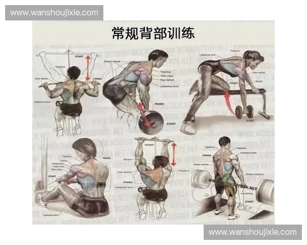 力量爆发专项训练方法与全身肌肉协调提升方案